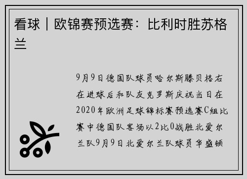看球｜欧锦赛预选赛：比利时胜苏格兰